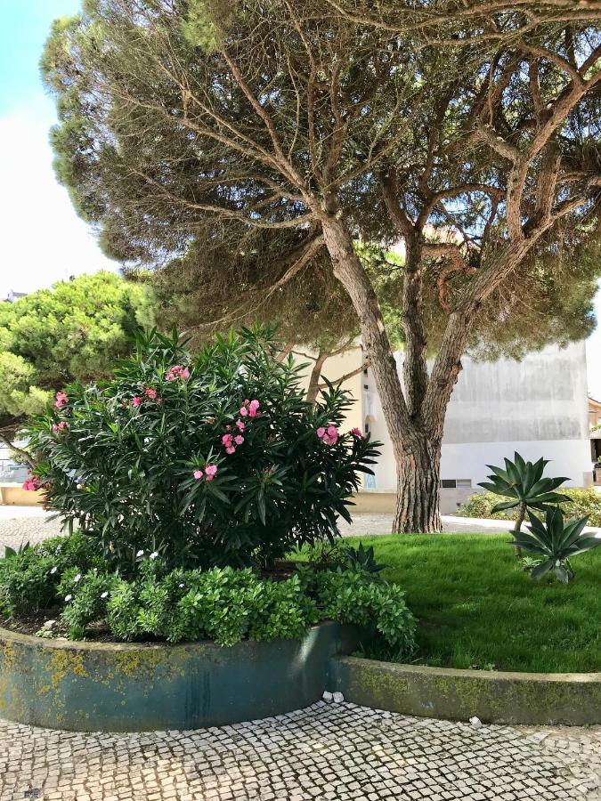 Pine Apartment - A 3M Da Ciclovia Guincho Cascais Bagian luar foto